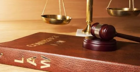 Lawyers⚖️What do they do?