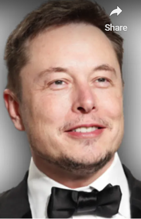 Elon Musk | Twitter 🐦 Catgirl / Tesla | Stock