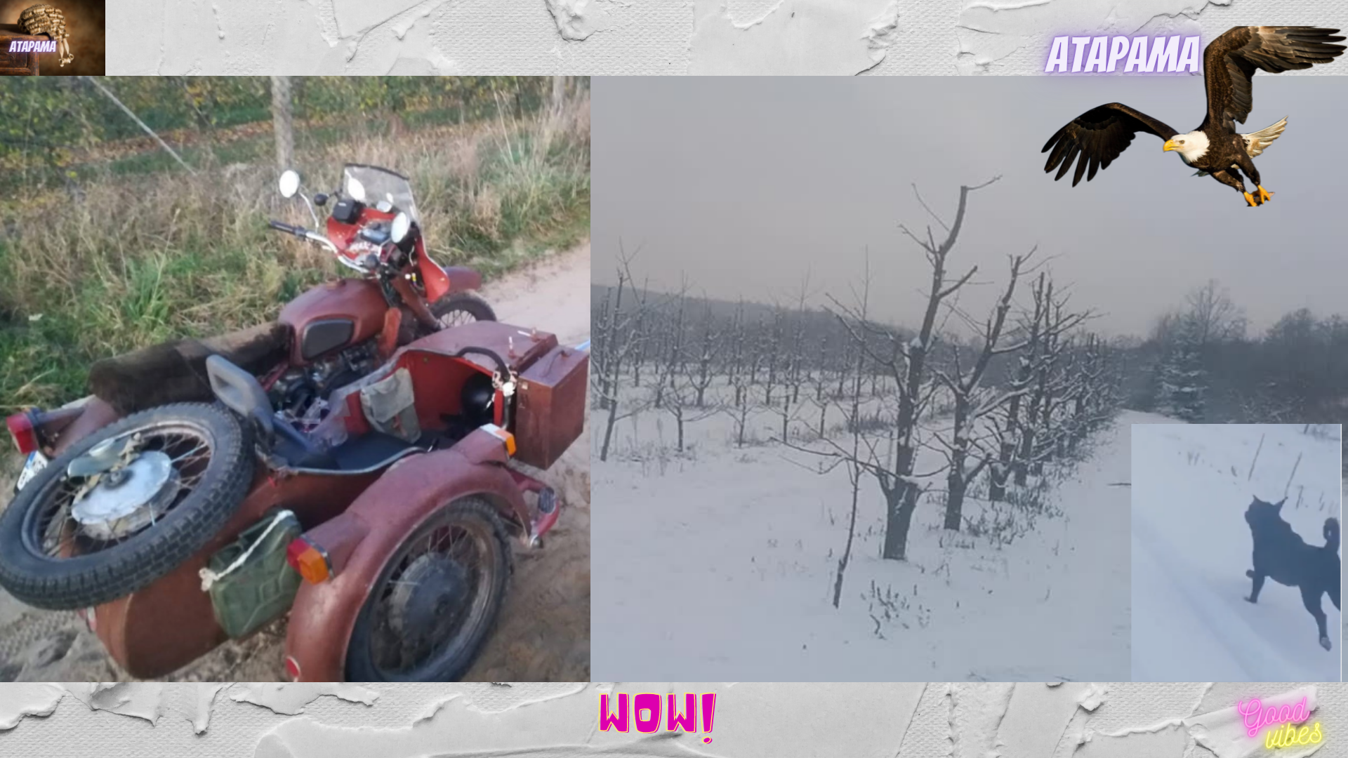 Vintage Motorbike Tinkering | Rally Bonus