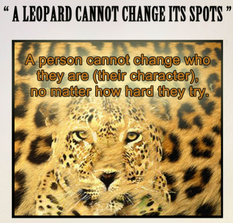 Protect Your Mind 🧠 Leopard 🐆 Survival 🚀 