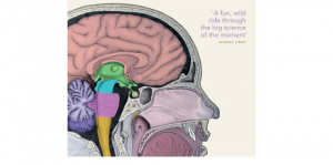 We_Are_Our_Brains_Book_Swaab_Atapama