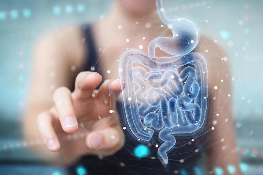 Stress 🤕 The Link Between Ulcers, Appetite, and Hair Loss 💊⚕️