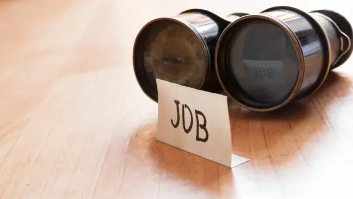 The Job Market – Opportunities vs. Reality of Job-Seeking 🛠