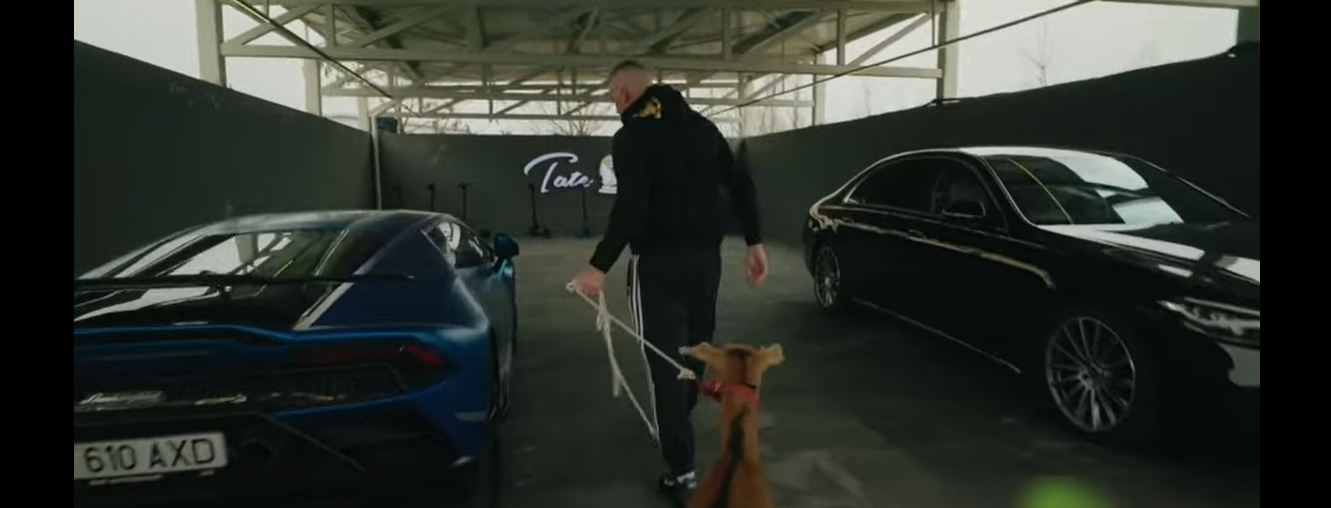 Shaggy The Goat 👑 – Tate Confidential