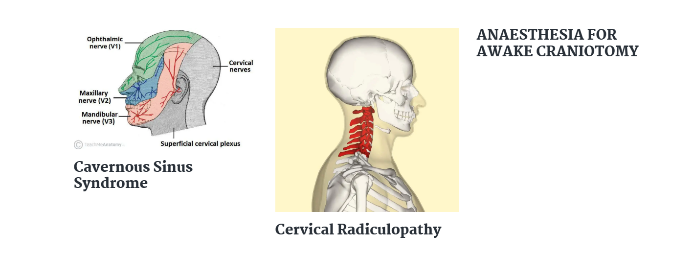Brainbook | Brain Surgeon Answers Questions | Honesty Box