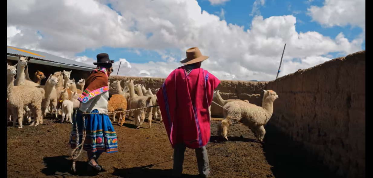 10 Most Disgusting Foods Around the World