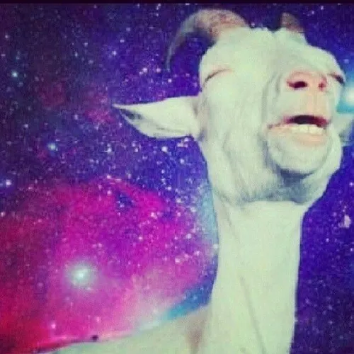 Kibet the Goat – Story Loading