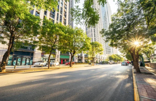 Quiet Forces, Visible Effects: A Reflection on Today’s Global Trends