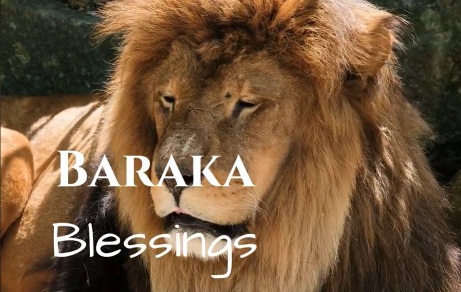 Baraka_Blessings_Atapama_Kaba_Pat_Kaba